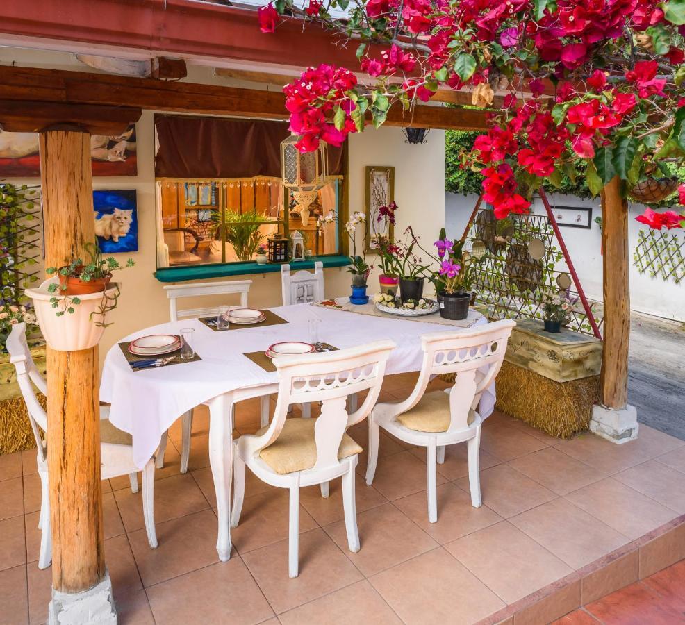 Casa Elalu Daire Quito Dış mekan fotoğraf