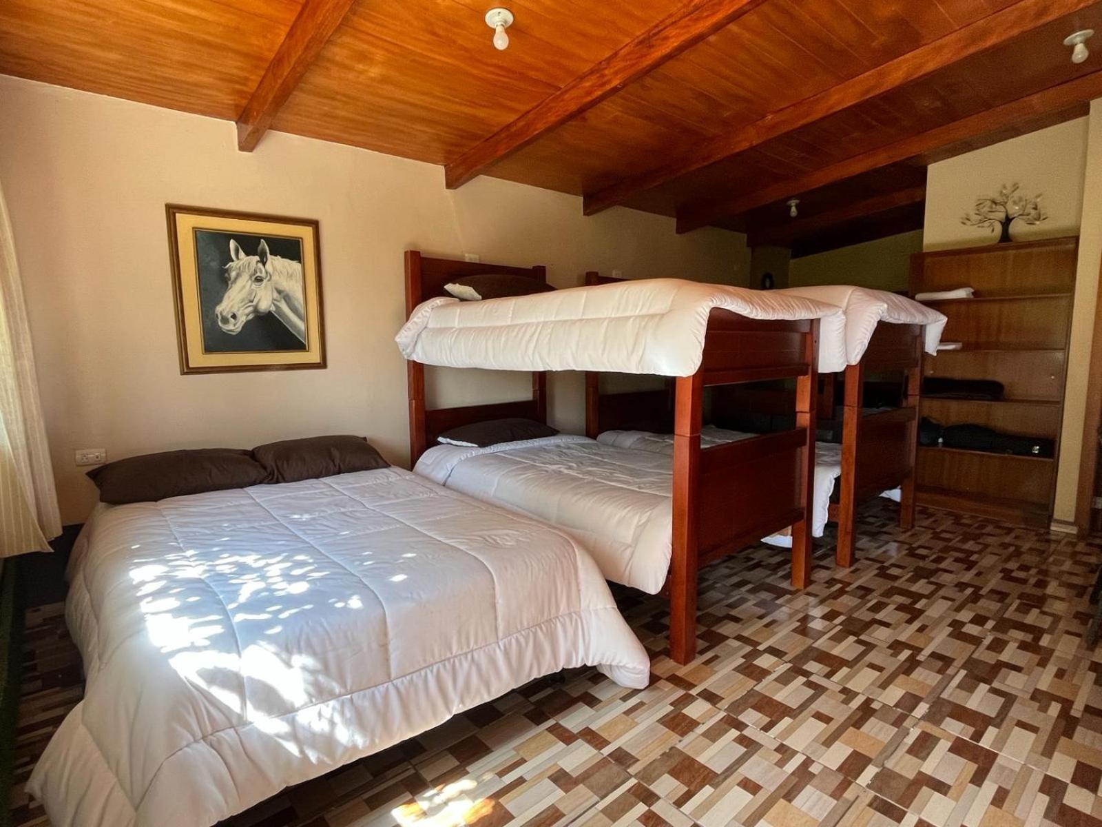Casa Elalu Daire Quito Dış mekan fotoğraf